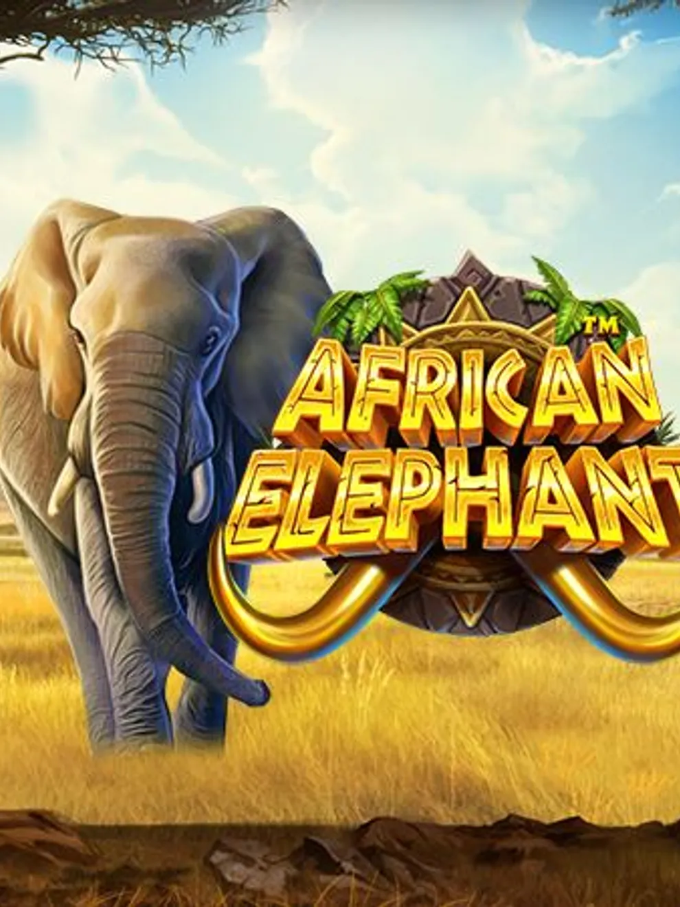 African Elephant — Pragmatic Play