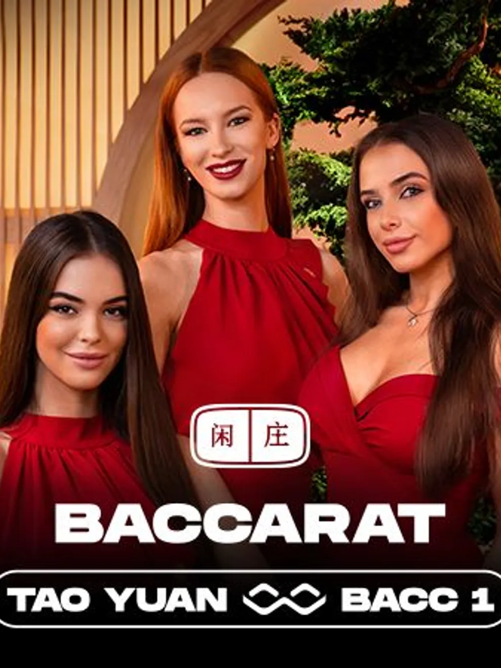 Tao Yuan Baccarat 1 — Winfinity